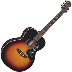 Takamine EG450DLX