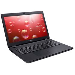 Acer LG81BA-P979