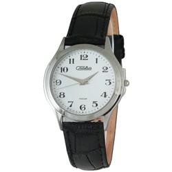 Slava 1131447/2035
