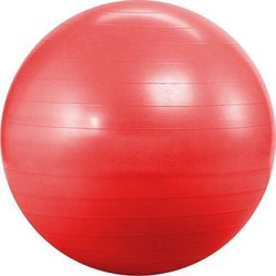 Landfit Fitness Ball 55cm