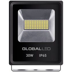 Global Flood Light 30W