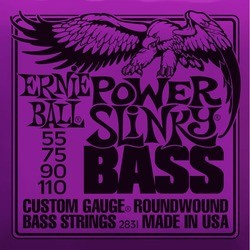 Ernie Ball Slinky Nickel Wound Bass 55-110