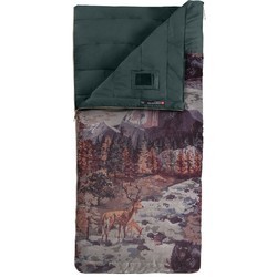 The North Face Homestead Twin 40/4