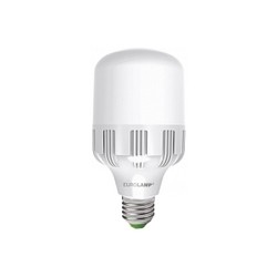 Eurolamp LED 30W 6500K E27