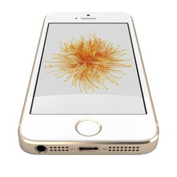 Apple iPhone SE 32GB (золотистый)