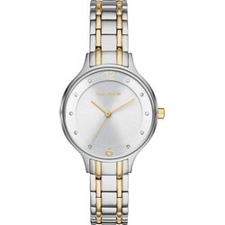 Skagen SKW2321