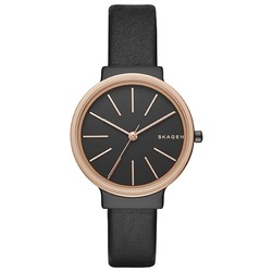 Skagen SKW2480