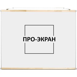 Pro-Ekran Screen 120x90