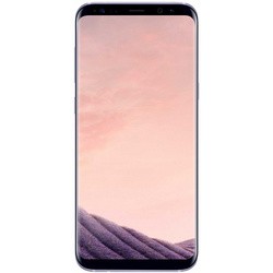 Samsung Galaxy S8 Duos (фиолетовый)