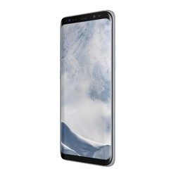 Samsung Galaxy S8 Duos (серебристый)