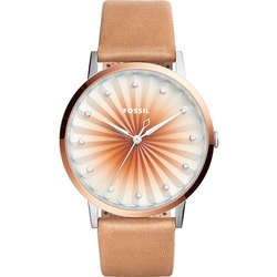 FOSSIL ES4199