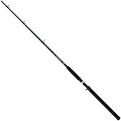 Daiwa Accudepth Leadcore Trolling 601HRB