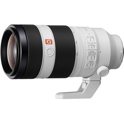 Sony FE 100-400mm F4.5-5.6 GM OSS