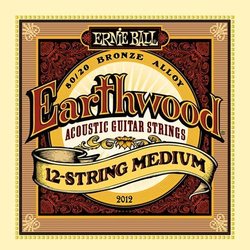 Ernie Ball Earthwood 80/20 Bronze 12-String 11-52