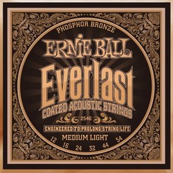 Ernie Ball Everlast Coated Phosphor Bronze 12-54