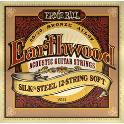 Ernie Ball Earthwood 80/20 Bronze Silk 12-String 9-46