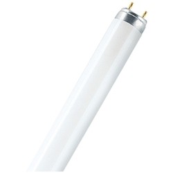 Osram LUMILUX T8 36W Fluora G13