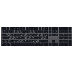 Apple Magic Keyboard with Numeric Keypad (серый)