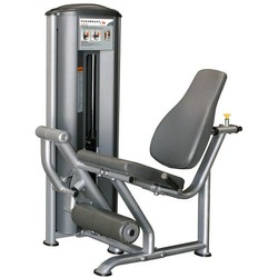 True Fitness FS-60