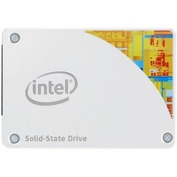 Intel SSDSC2BW256H601