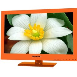 Shivaki STV-24LEDGO9