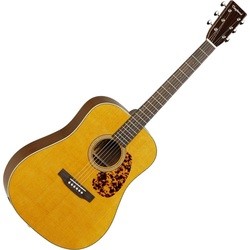 Tanglewood TW40 D AN E