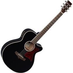 Tanglewood TW4
