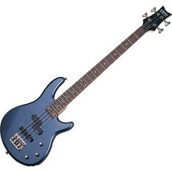 Schecter Raiden Deluxe 4