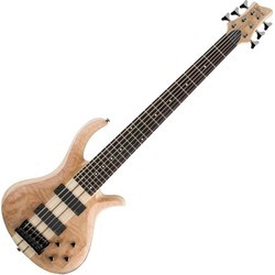 Schecter Riot-6 Bass