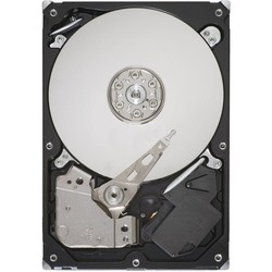 Seagate ST3500414CS