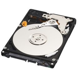 WD WD1600BPVT