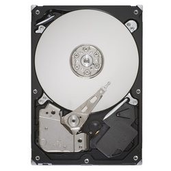 Seagate ST1500DL003