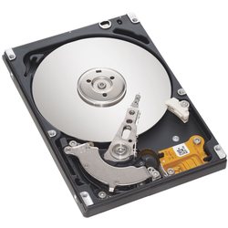 Seagate ST9250317AS
