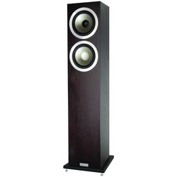 Tannoy Revolution DC6 T