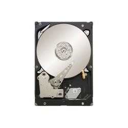 Seagate ST32000644NS