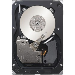 Seagate ST3300656SS