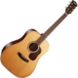 Cort Gold D6 w/ case