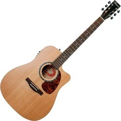 Norman Protege B18 CW Cedar Presys