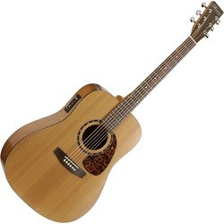 Norman Studio ST40 Presys