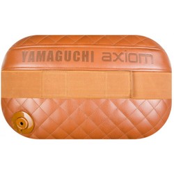 Yamaguchi Axiom Matrix