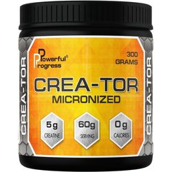 Powerful Progress Crea-Tor Micronized 300 g