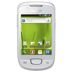 Samsung Galaxy Mini