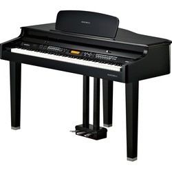 Kurzweil MPG100