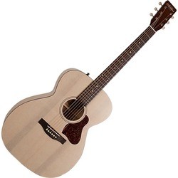 Art & Lutherie Legacy