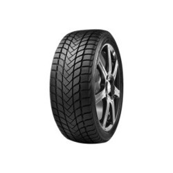 Delinte WD6 195/55 R16 87T