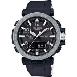 Casio PRG-650-1E