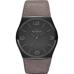 Skagen SKW6041