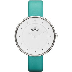 Skagen SKW2134