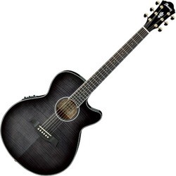 Ibanez AEG24II