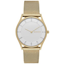 Skagen SKW2377